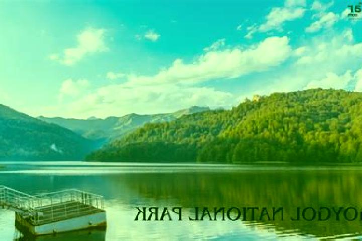 Escorts Goygol, Azerbaijan — Local Companions