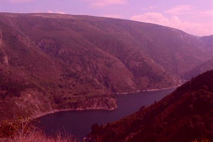 Escorts Grandas de Salime, Spain — Local Companions