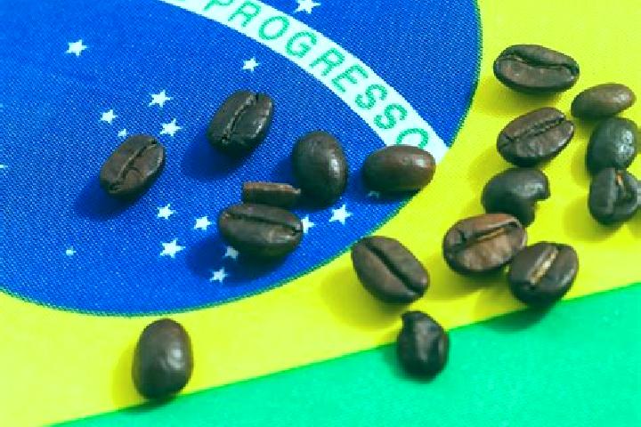 Escorts Grao-Para, Brazil — Local Companions