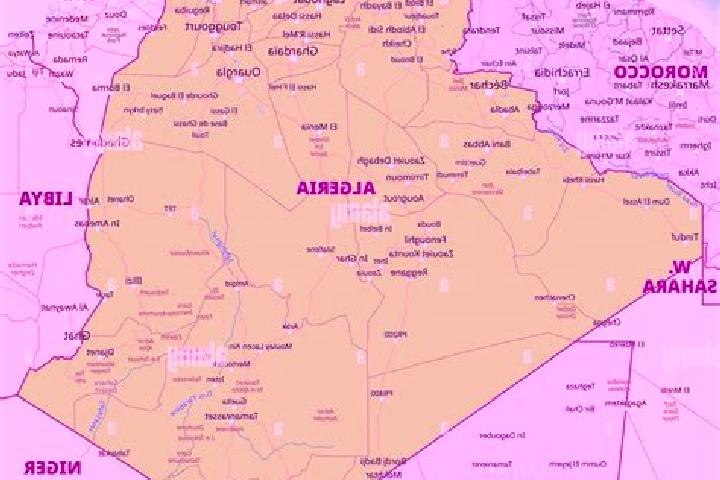 Escorts Grarem, Algeria — Local Companions