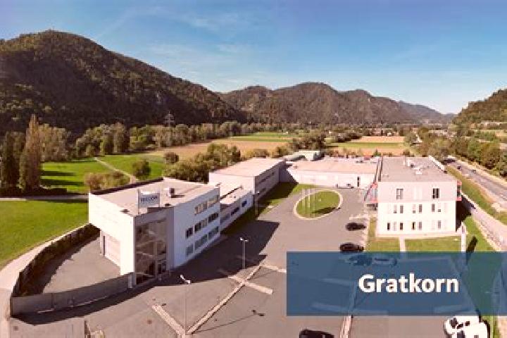 Escorts Gratkorn, Austria — Local Companions
