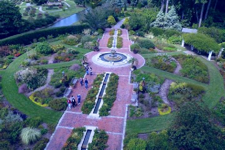 Escorts Great Neck Gardens, United States — Local Companions