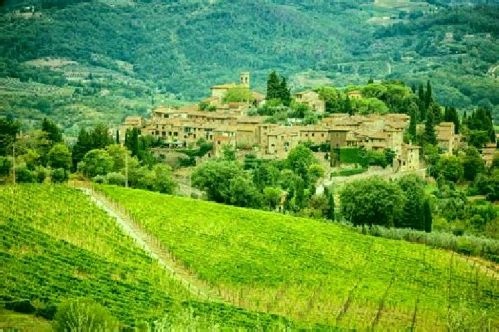 Escorts Greve in Chianti, Italy — Local Companions
