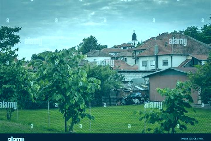 Escorts Grocka, Serbia — Local Companions
