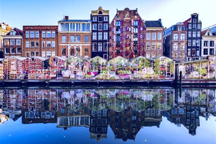 Escorts Grootschermer, Netherlands — Local Companions
