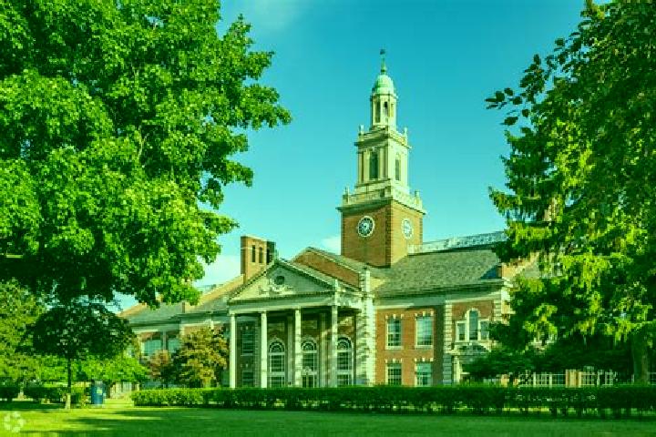 Escorts Grosse Pointe Farms, United States — Local Companions