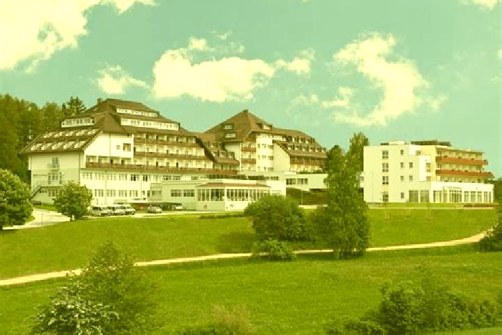 Escorts Grosspertholz, Austria — Local Companions