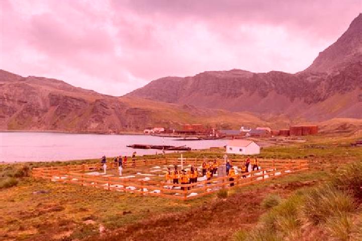Escorts Grytviken, South Georgia — Local Companions