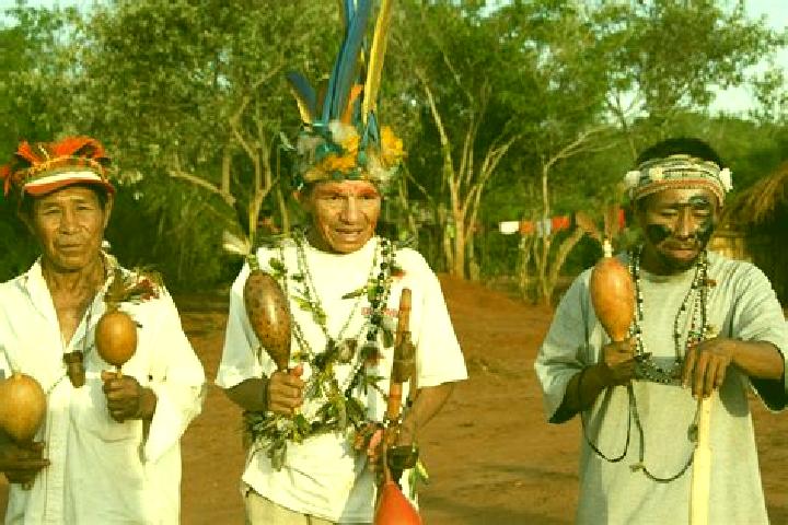 Escorts Guarani de Goias, Brazil — Local Companions