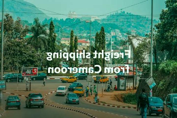 Escorts Guider, Cameroon — Local Companions