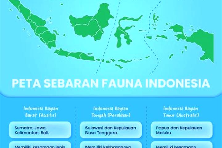 Escorts Gumuk Tengah, Indonesia — Local Companions