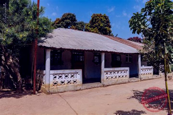 Escorts Gunjur Kuta, Gambia — Local Companions