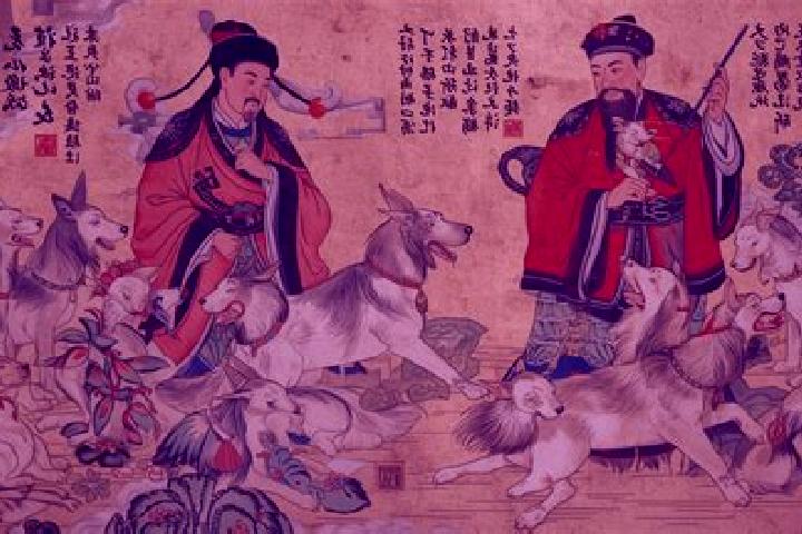 Escorts Guoyuan, China — Local Companions