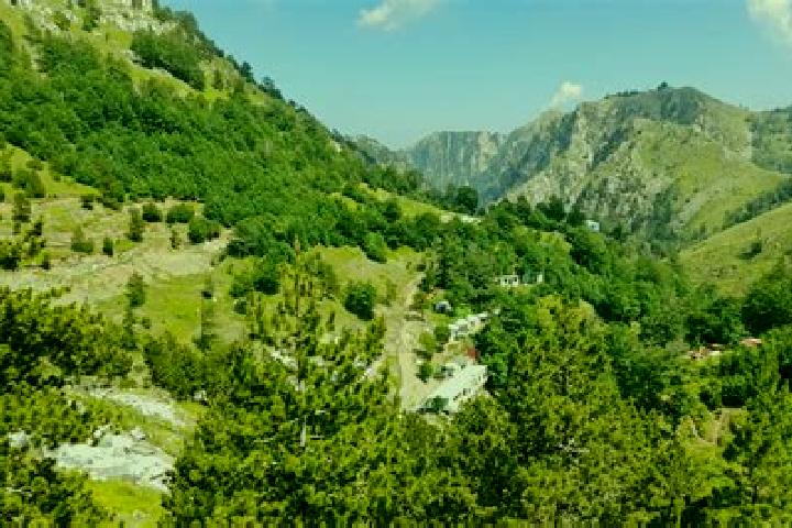 Escorts Guri i Bardhe, Albania — Local Companions