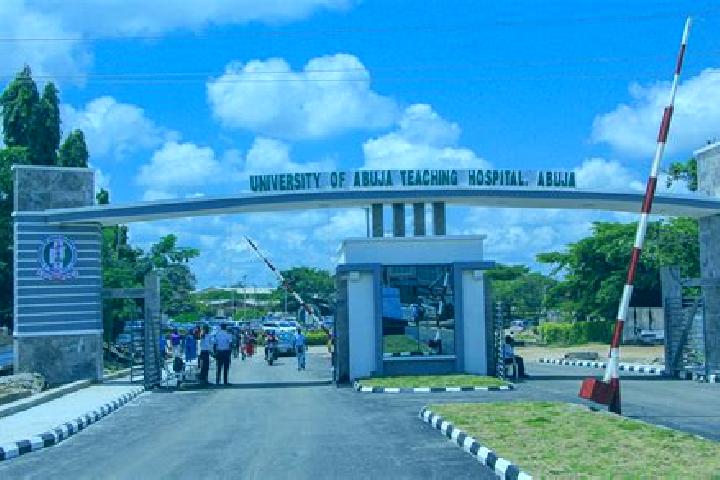 Escorts Gwagwalada, Nigeria — Local Companions