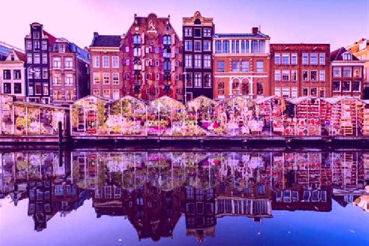 Escorts Haarle, Netherlands — Local Companions