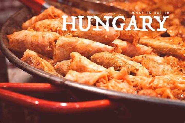 Escorts Hajduhadhaz, Hungary — Local Companions