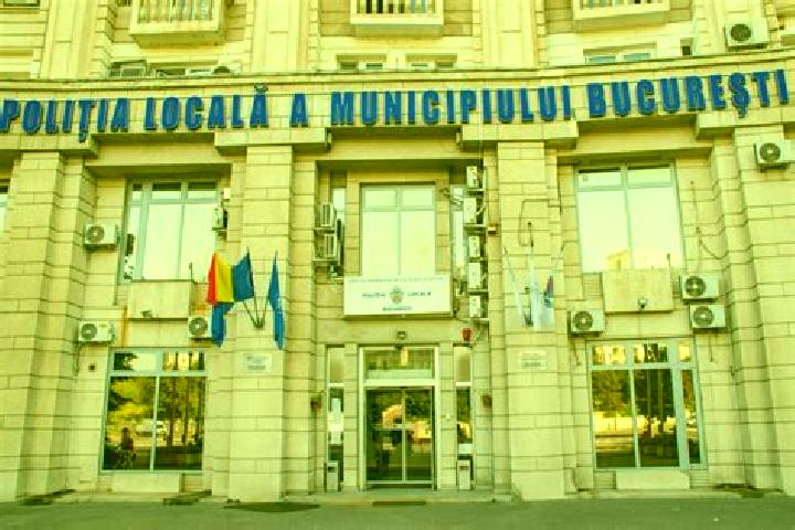 Escorts Halaresti, Romania — Local Companions