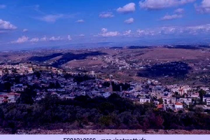 Escorts Halba, Lebanon — Local Companions