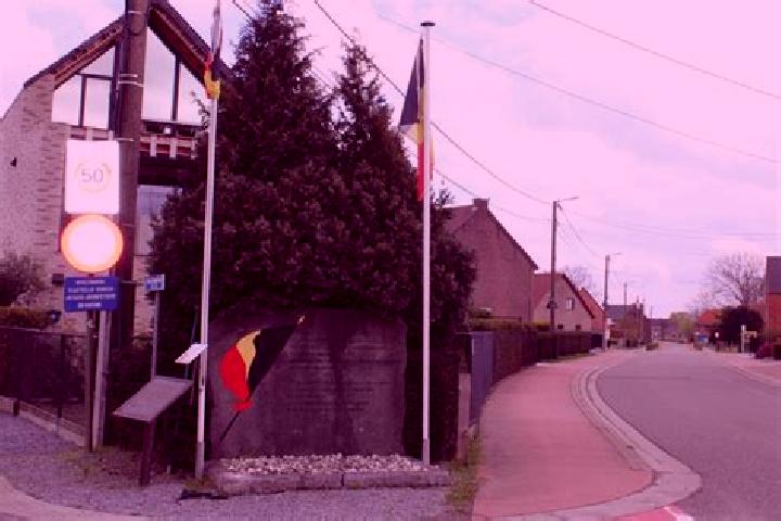 Escorts Halen, Belgium — Local Companions