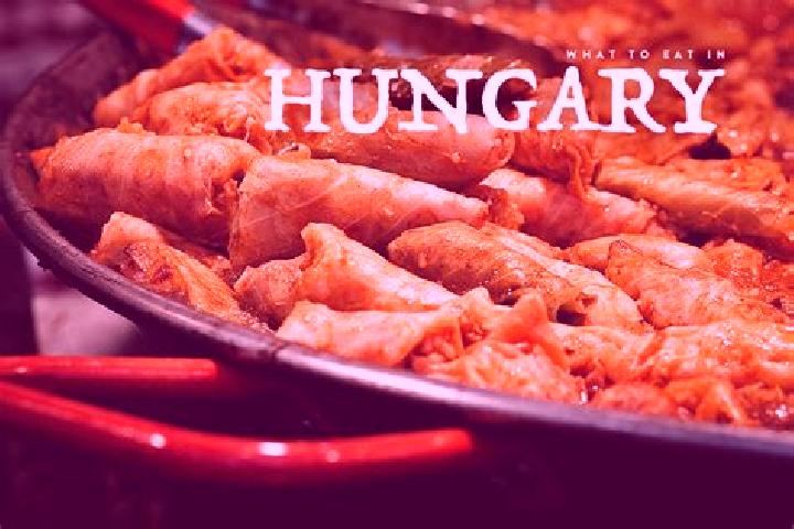 Escorts Halmaj, Hungary — Local Companions
