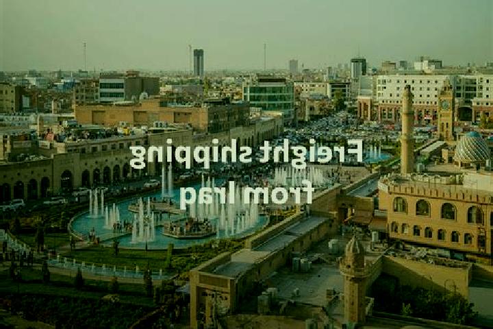 Escorts Halshaw, Iraq — Local Companions