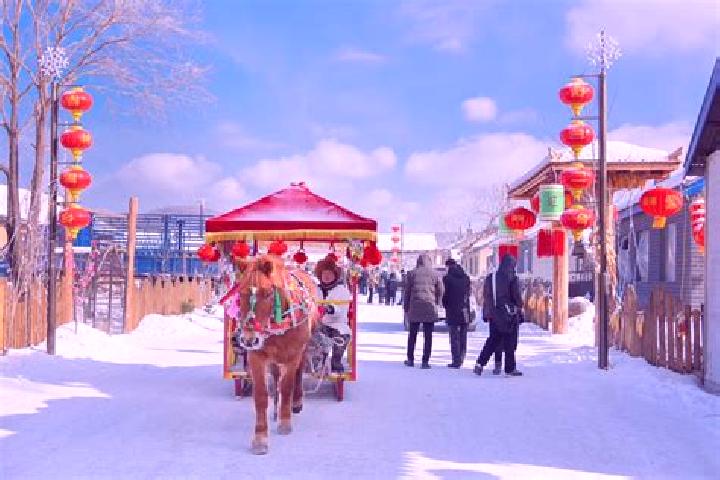 Escorts Hangu Erhe, China — Local Companions