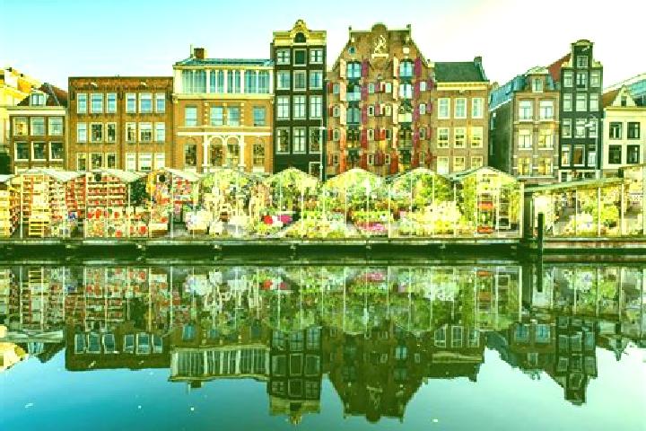 Escorts Hank, Netherlands — Local Companions