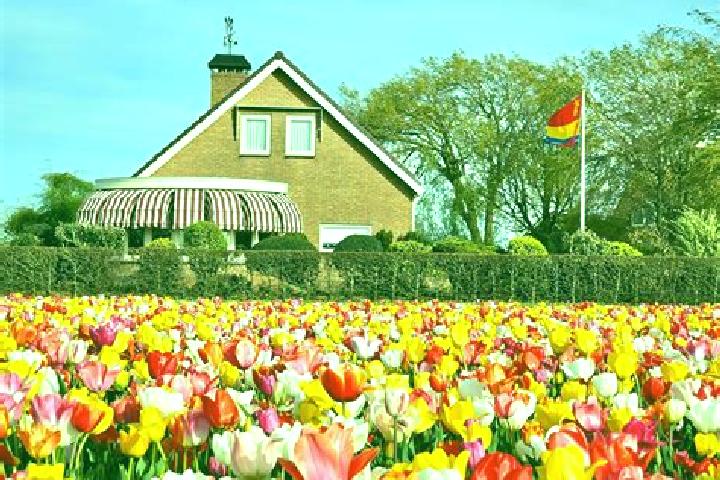 Escorts Hapert, Netherlands — Local Companions