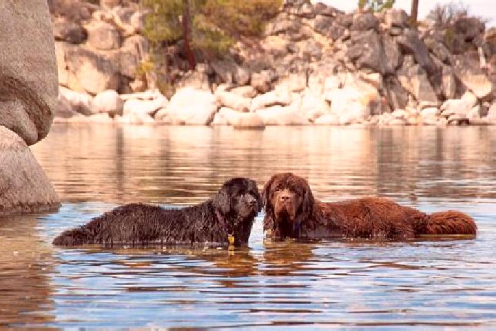 Escorts Hare Bay, Canada — Local Companions