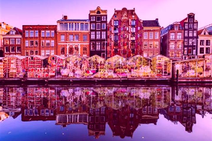 Escorts Harlingen, Netherlands — Local Companions