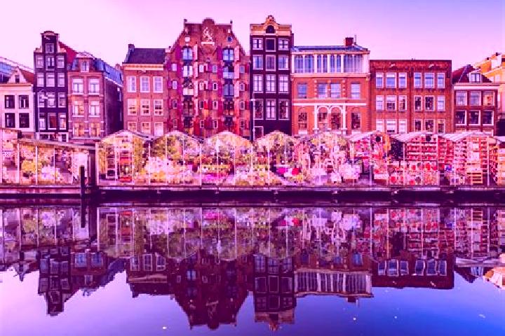 Escorts Harskamp, Netherlands — Local Companions