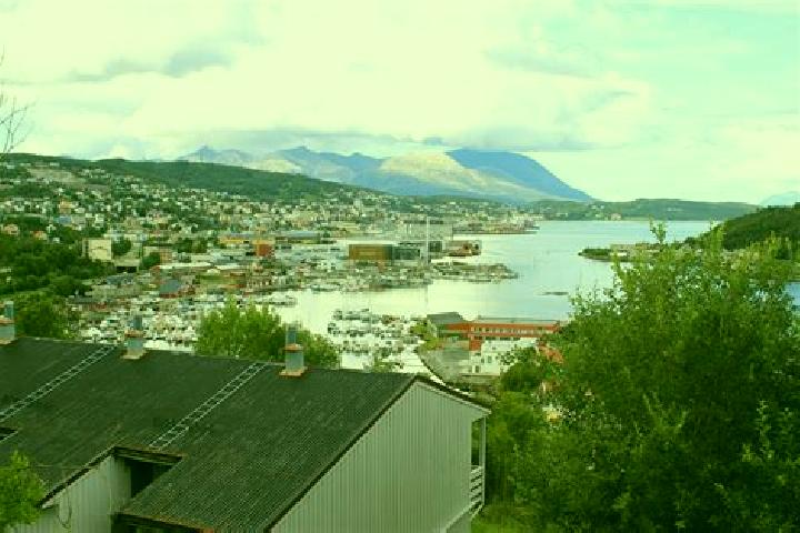 Escorts Harstad, Norway — Local Companions