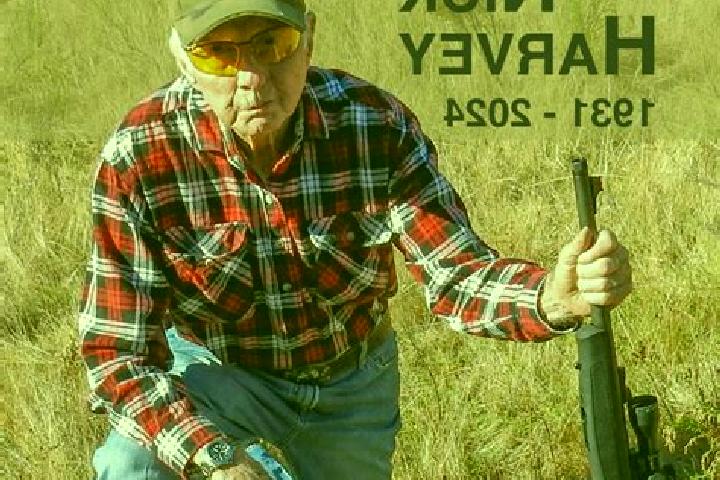 Escorts Harvey, Australia — Local Companions