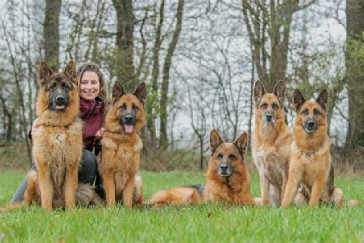 Escorts Hassmoor, Germany — Local Companions