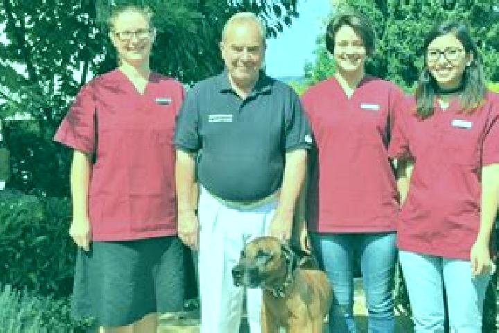 Escorts Hausen am Bussen, Germany — Local Companions