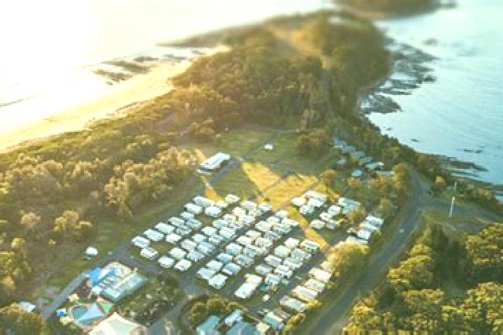 Escorts Haven, Australia — Local Companions