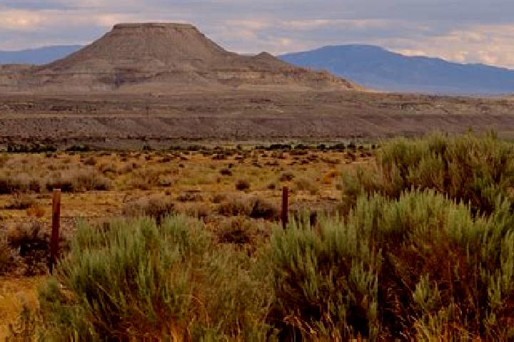 Escorts Heart Butte, United States — Local Companions