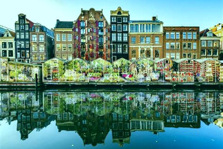 Escorts Heemstede, Netherlands — Local Companions