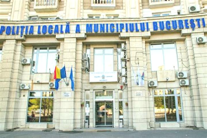 Escorts Helesteni, Romania — Local Companions