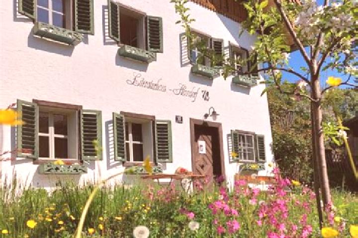 Escorts Henndorf am Wallersee, Austria — Local Companions
