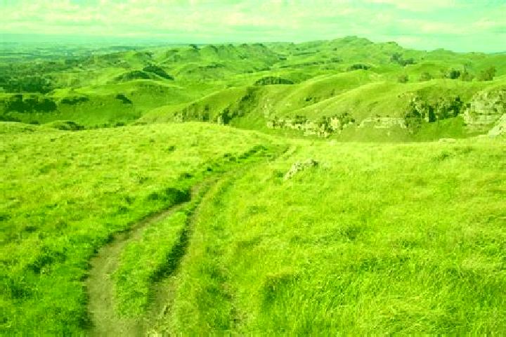 Escorts Heretaunga, New Zealand — Local Companions