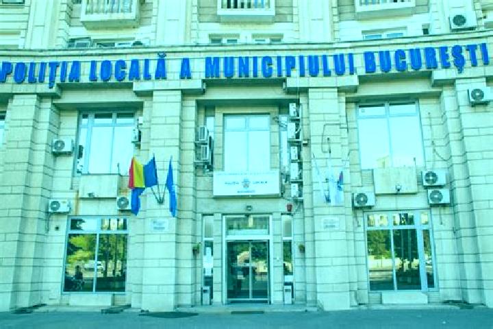 Escorts Hermeziu, Romania — Local Companions