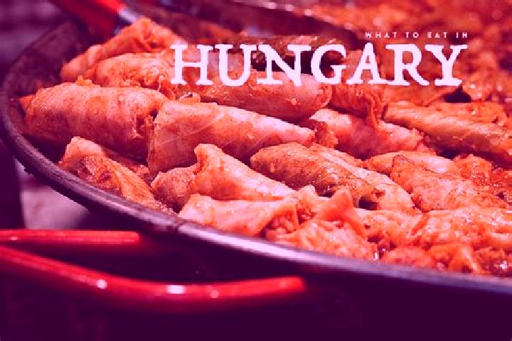 Escorts Hevizgyoerk, Hungary — Local Companions