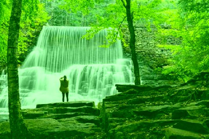Escorts Hickory Creek, United States — Local Companions