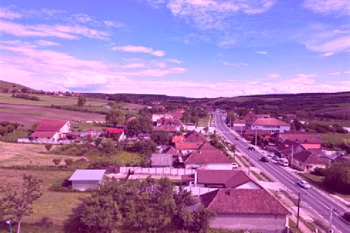 Escorts Hidiselu de Sus, Romania — Local Companions