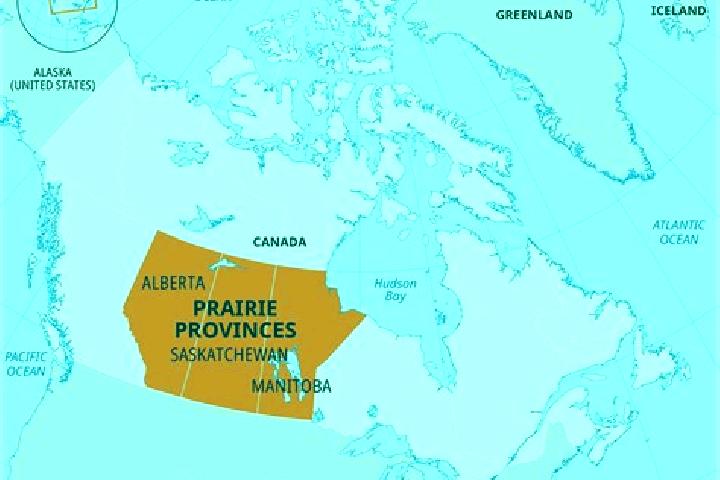 Escorts High Prairie, Canada — Local Companions