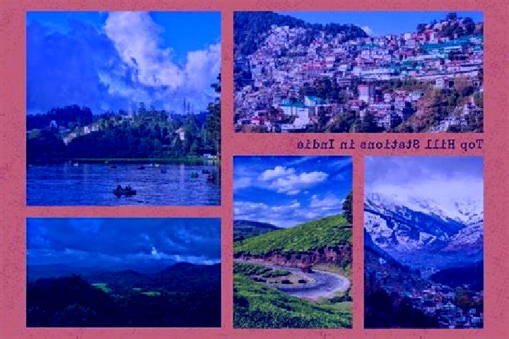 Escorts Hill Town, India — Local Companions