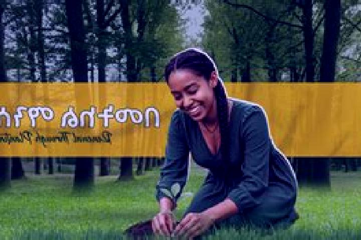 Escorts Hirna, Ethiopia — Local Companions