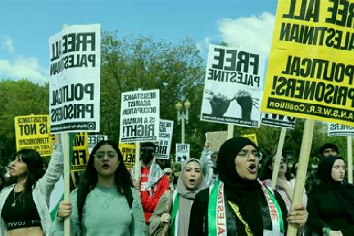 Escorts Hizma, Palestine — Local Companions
